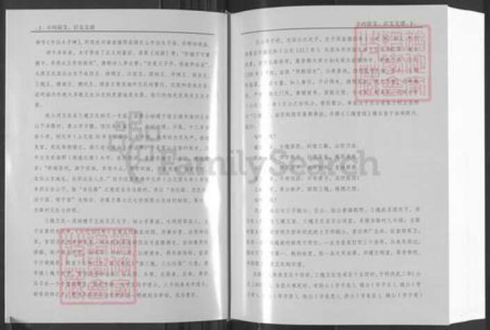 山东省日照市莒县碁山镇王氏三槐堂族谱-三槐堂小河王氏族谱.pdf电子版预览图4