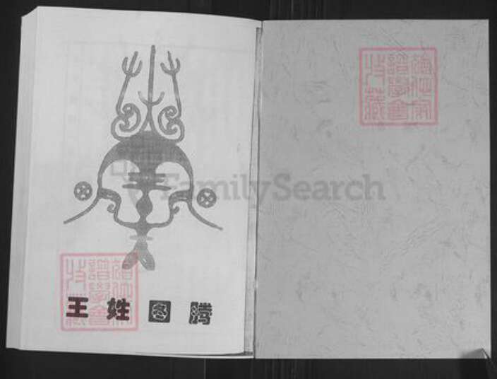 山东省济南市莱芜区苗山镇王氏敦本堂族谱-王氏族谱.pdf电子版预览图1