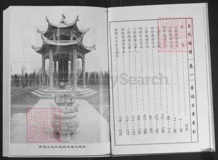 山东省济南市莱芜区苗山镇王氏敦本堂族谱-王氏族谱.pdf电子版预览图2