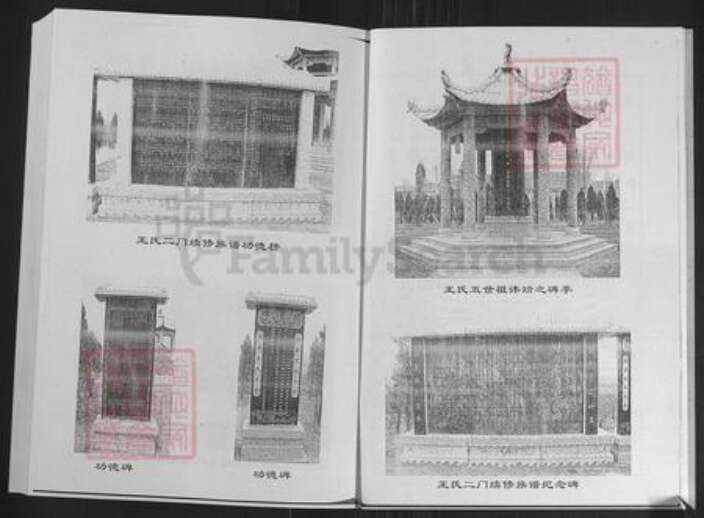 山东省济南市莱芜区苗山镇王氏敦本堂族谱-王氏族谱.pdf电子版预览图3