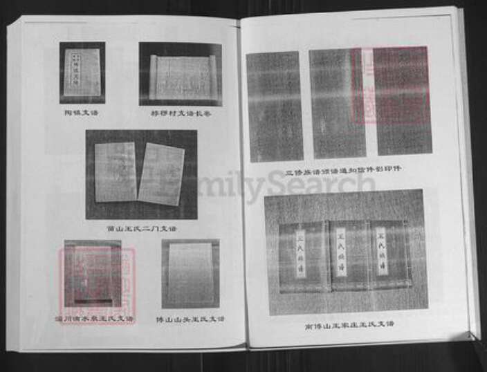 山东省济南市莱芜区苗山镇王氏敦本堂族谱-王氏族谱.pdf电子版预览图5