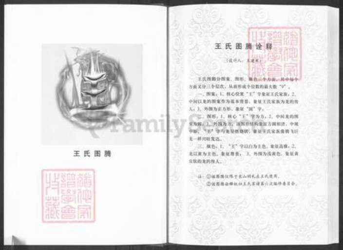 山东省滨州市邹平市长山镇王氏族谱-王氏家谱.pdf电子版预览图3