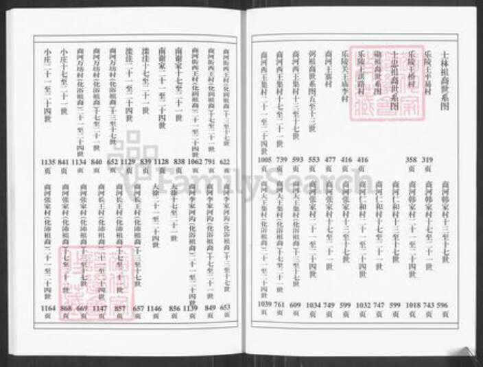 山东省德州市乐陵市王氏树槐堂族谱-王氏家乘.pdf电子版预览图3