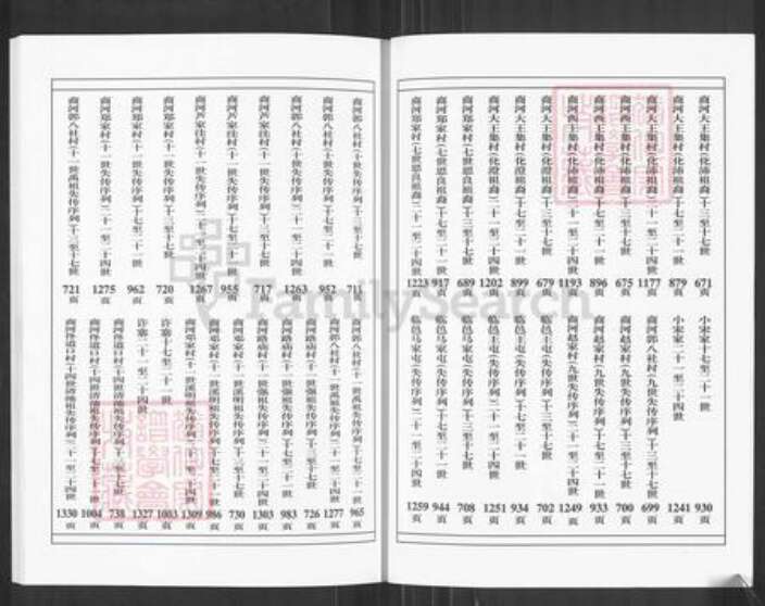 山东省德州市乐陵市王氏树槐堂族谱-王氏家乘.pdf电子版预览图4