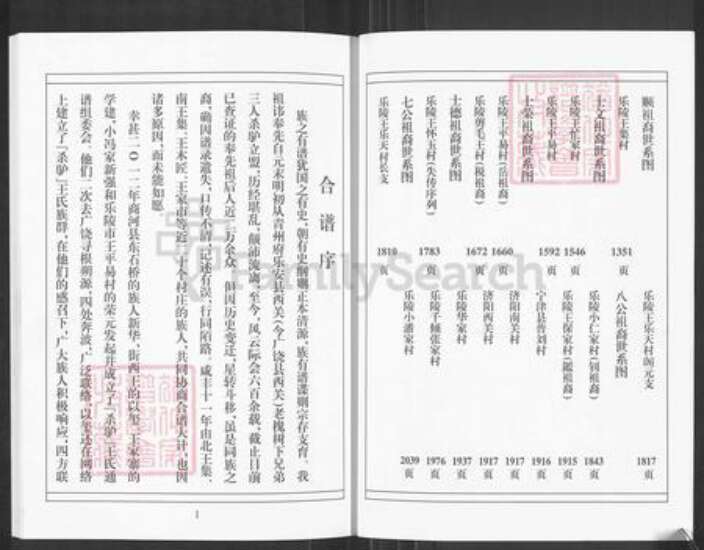 山东省德州市乐陵市王氏树槐堂族谱-王氏家乘.pdf电子版预览图5