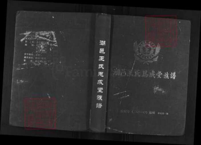 广东省汕头市潮南区陇田镇王氏思成堂族谱-潮邑王氏思成堂族谱.pdf电子版缩略图
