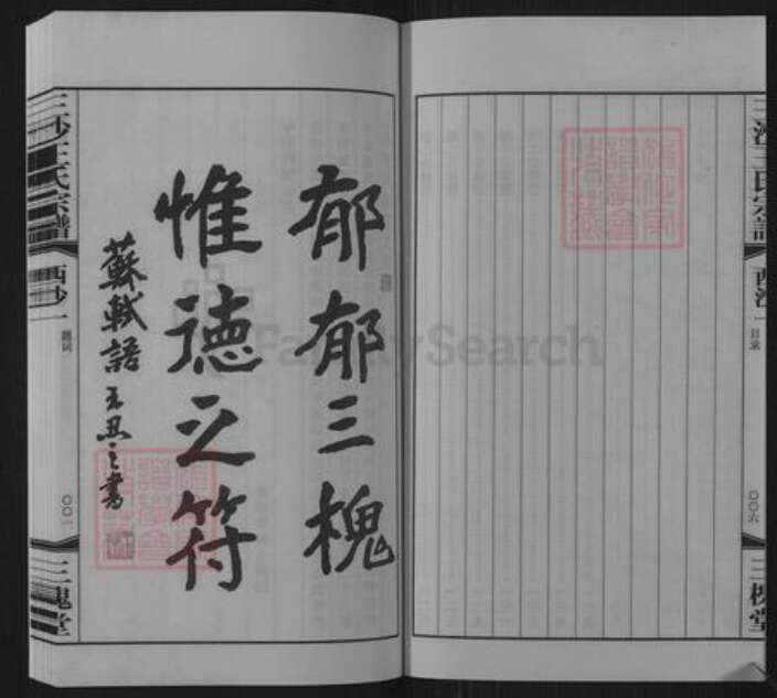 江苏省无锡市惠山区长安街道王氏三槐堂族谱-三沙王氏宗谱.pdf电子版预览图5