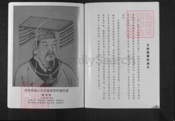江苏省盐城市盐都区龙冈镇王氏三槐堂族谱-大丰王家桥三槐王氏宗谱.pdf电子版预览图4