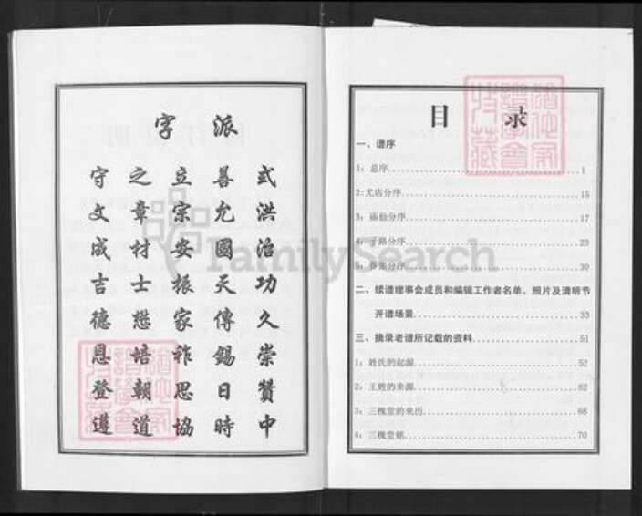湖北省武汉市黄陂区王氏三槐堂族谱-王亨户宗谱.罗山县正阳县分支.pdf电子版预览图3