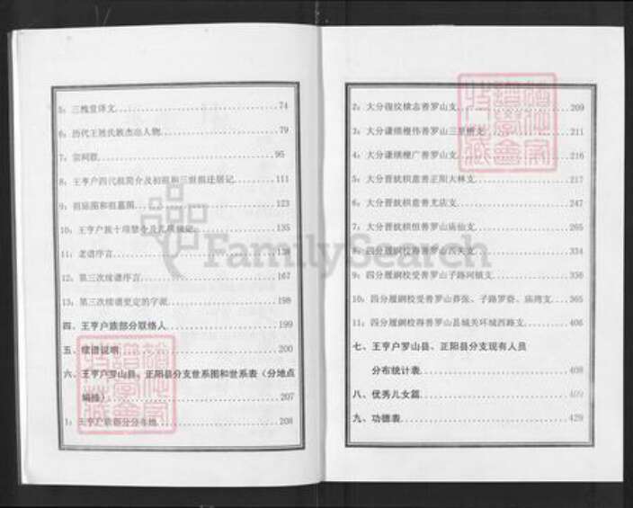 湖北省武汉市黄陂区王氏三槐堂族谱-王亨户宗谱.罗山县正阳县分支.pdf电子版预览图4