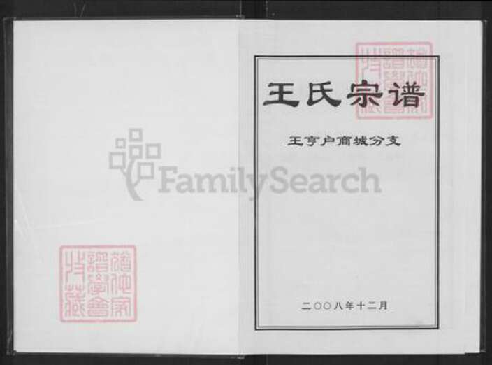 河南省信阳市商城县王氏族谱-王氏宗谱.王亨户商城分支.pdf电子版预览图1