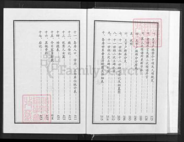河南省信阳市新县郭家河乡王氏三槐堂族谱-王氏宗谱.王享户新县分支.pdf电子版预览图4