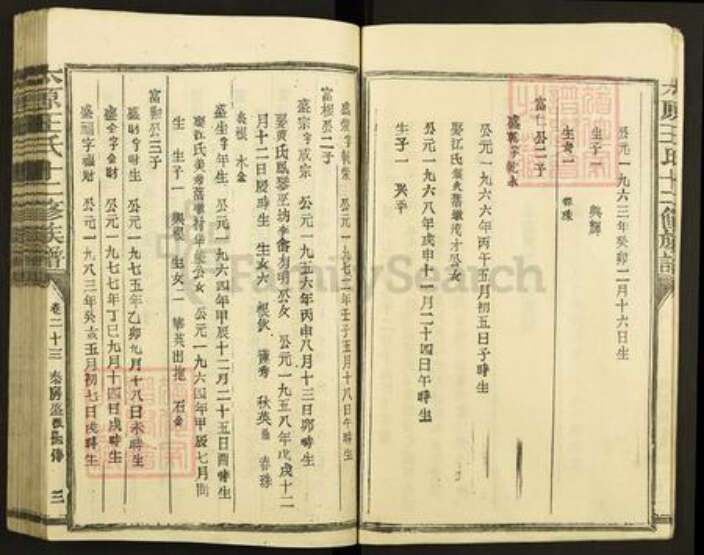 福建省三明市宁化县水茜镇王氏族谱-太原王氏十二修族谱.pdf电子版预览图4