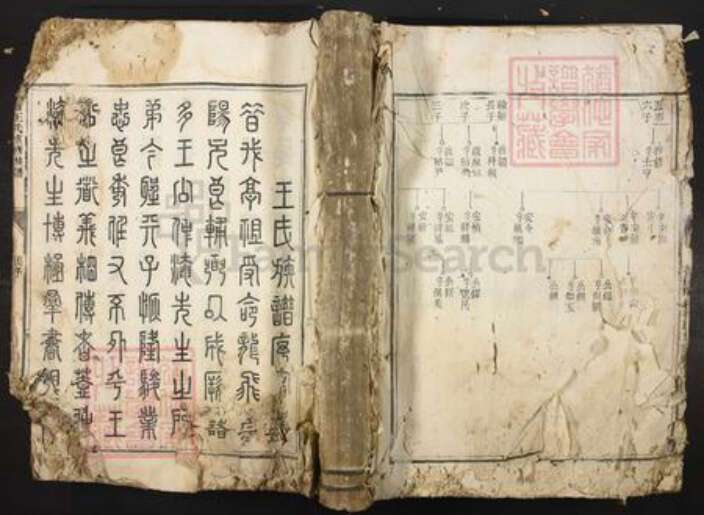广东省韶关市南雄市王氏族谱-浈昌王氏重修族谱.pdf电子版缩略图