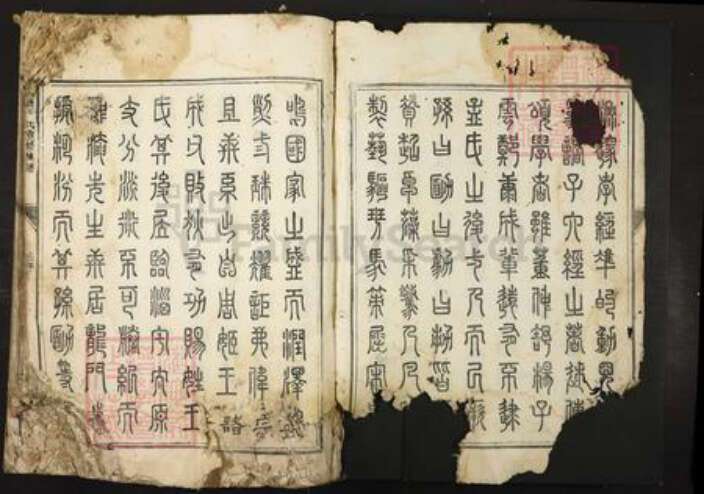 广东省韶关市南雄市王氏族谱-浈昌王氏重修族谱.pdf电子版预览图2