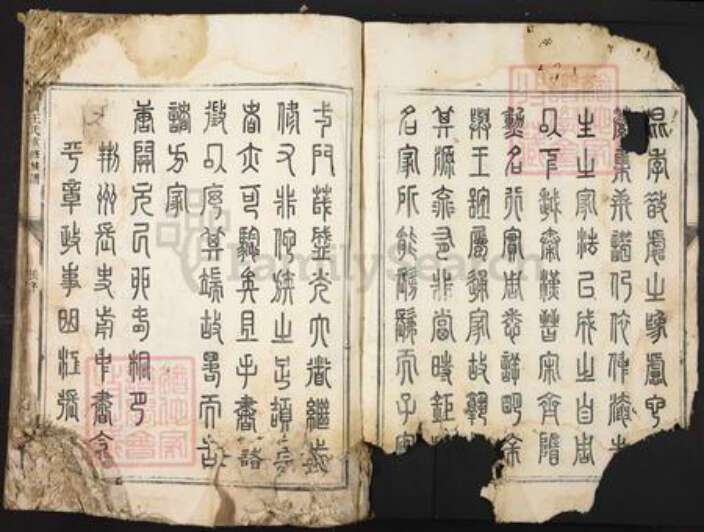 广东省韶关市南雄市王氏族谱-浈昌王氏重修族谱.pdf电子版预览图4