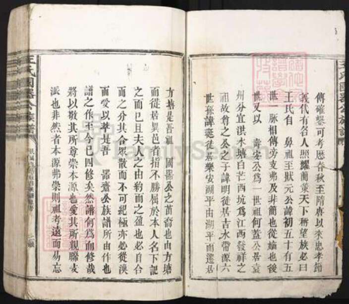 江西省抚州市乐安县湖坪乡王氏崇本堂族谱-王氏国器公族谱.pdf电子版预览图2