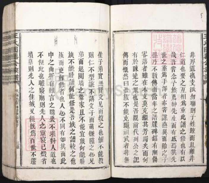 江西省抚州市乐安县湖坪乡王氏崇本堂族谱-王氏国器公族谱.pdf电子版预览图3