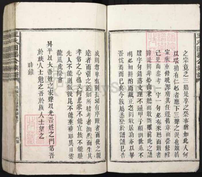 江西省抚州市乐安县湖坪乡王氏崇本堂族谱-王氏国器公族谱.pdf电子版预览图4