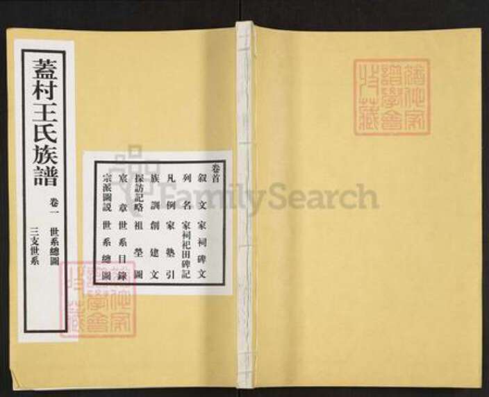 山东省枣庄市滕州市滨湖镇王氏族谱-盖村王氏族谱.pdf电子版缩略图
