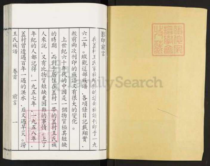 山东省枣庄市滕州市滨湖镇王氏族谱-盖村王氏族谱.pdf电子版预览图1