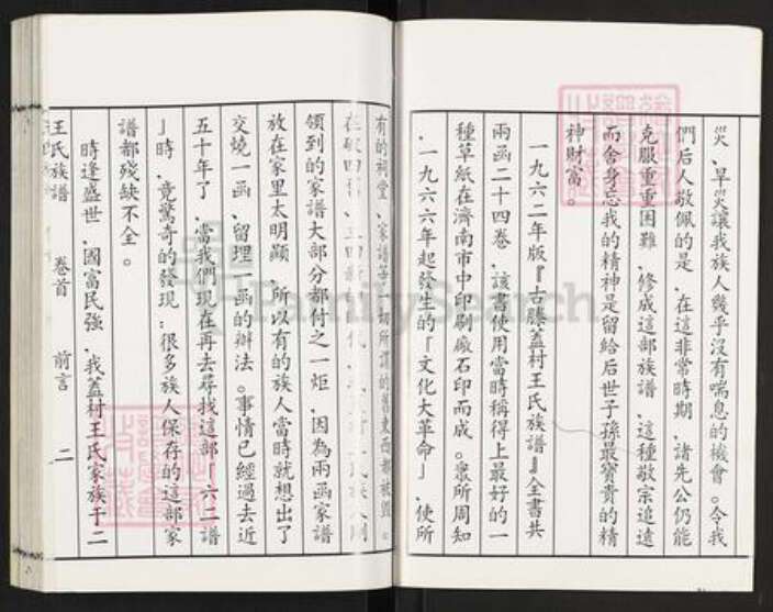 山东省枣庄市滕州市滨湖镇王氏族谱-盖村王氏族谱.pdf电子版预览图2