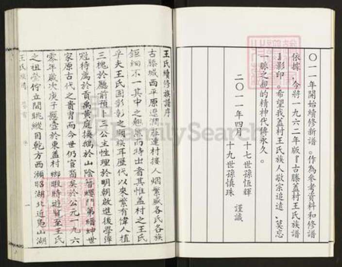 山东省枣庄市滕州市滨湖镇王氏族谱-盖村王氏族谱.pdf电子版预览图3