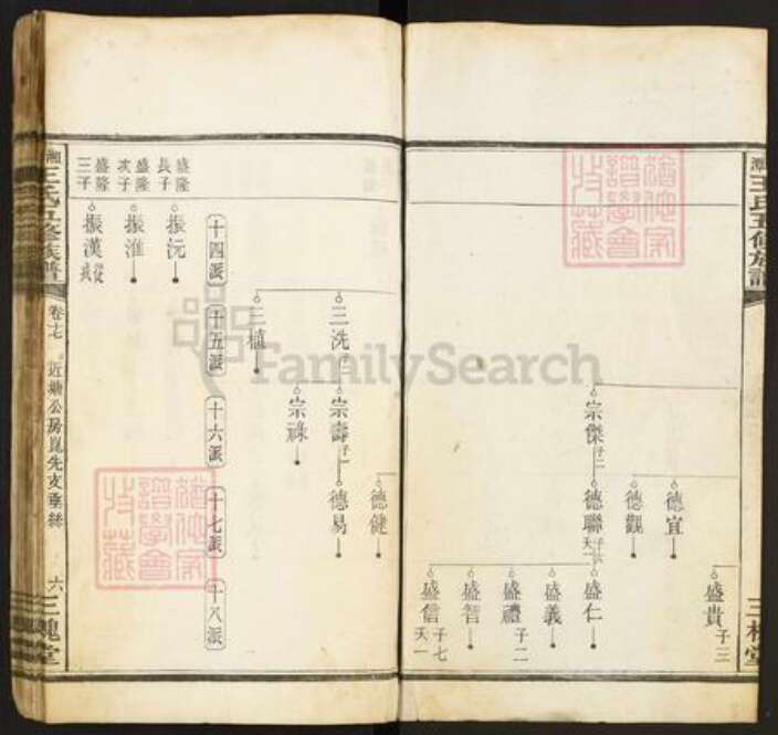 湖南省湘潭市王氏三槐堂族谱-湘潭王氏五修族谱.pdf电子版预览图2
