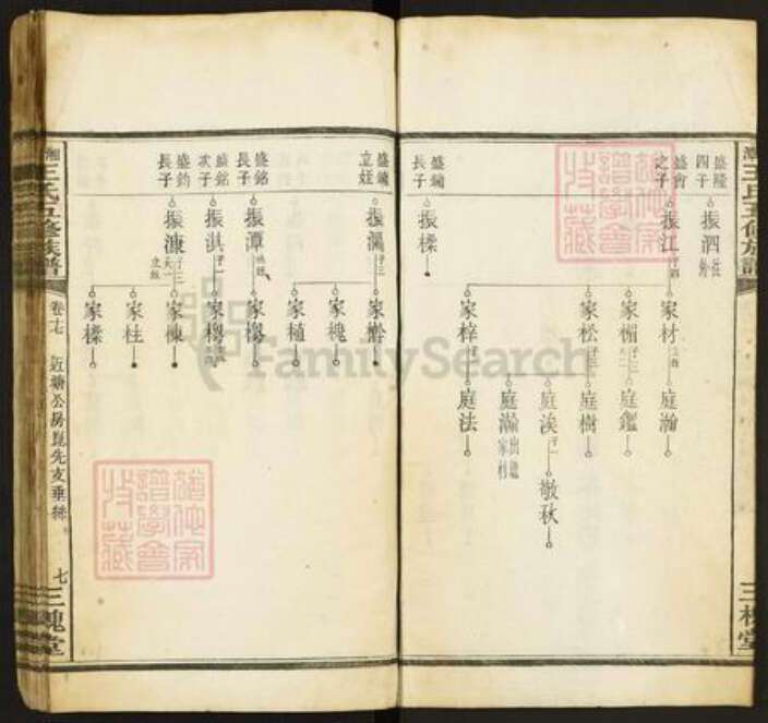 湖南省湘潭市王氏三槐堂族谱-湘潭王氏五修族谱.pdf电子版预览图3