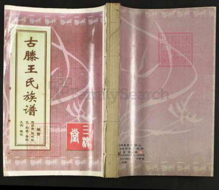 山东省枣庄市滕州市级索镇王氏三槐堂族谱-古滕王氏族谱.pdf电子版缩略图