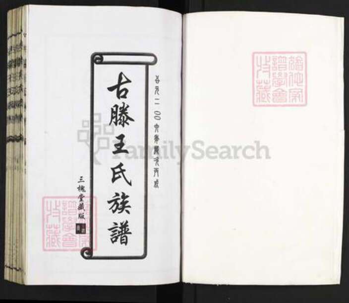 山东省枣庄市滕州市级索镇王氏三槐堂族谱-古滕王氏族谱.pdf电子版预览图1