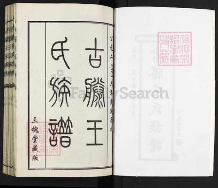 山东省枣庄市滕州市级索镇王氏三槐堂族谱-古滕王氏族谱.pdf电子版预览图2