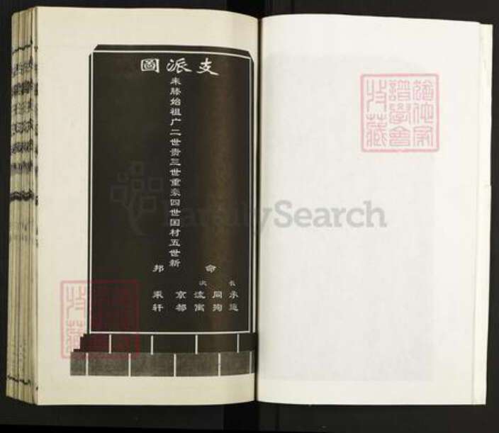 山东省枣庄市滕州市级索镇王氏三槐堂族谱-古滕王氏族谱.pdf电子版预览图5