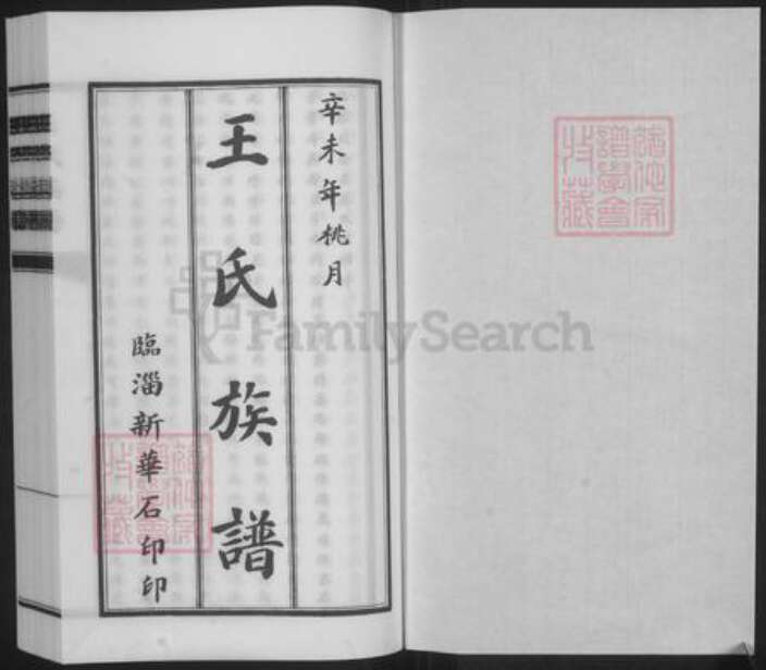 山东省淄博市临淄区王氏族谱-王氏族谱.pdf电子版预览图1