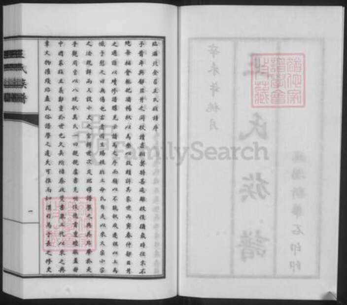 山东省淄博市临淄区王氏族谱-王氏族谱.pdf电子版预览图2