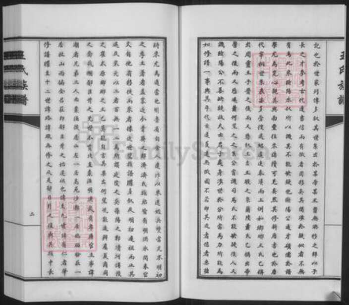 山东省淄博市临淄区王氏族谱-王氏族谱.pdf电子版预览图3
