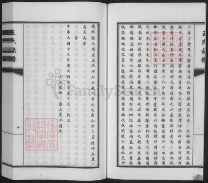 山东省淄博市临淄区王氏族谱-王氏族谱.pdf电子版预览图5