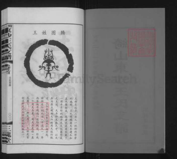 江苏省无锡市江阴市澄江街道王氏三槐堂族谱-绮山东沙王氏支谱.pdf电子版预览图2