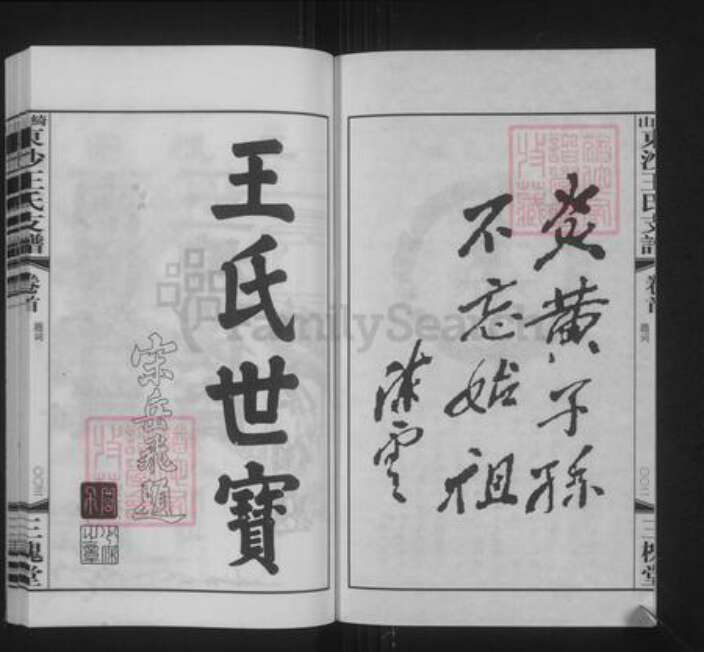 江苏省无锡市江阴市澄江街道王氏三槐堂族谱-绮山东沙王氏支谱.pdf电子版预览图3