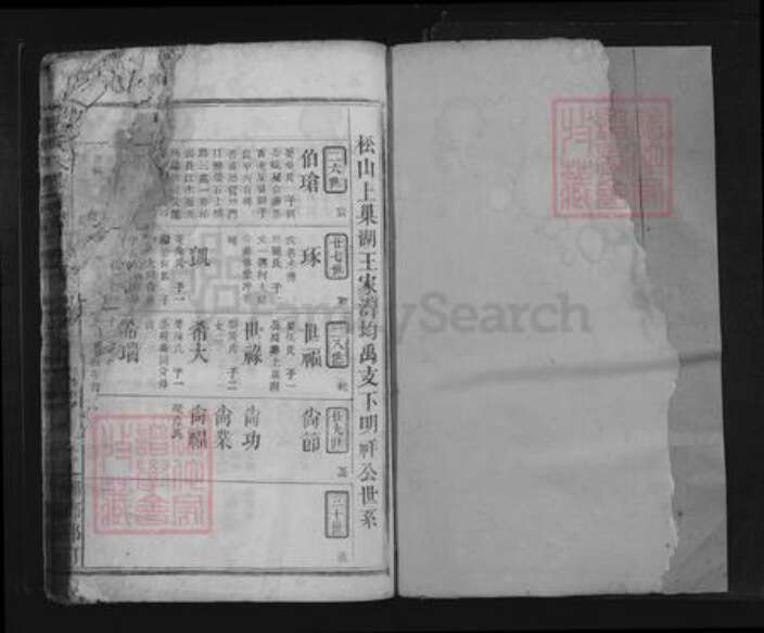 江西省九江市瑞昌市王氏族谱-王氏大成宗谱.pdf电子版预览图1