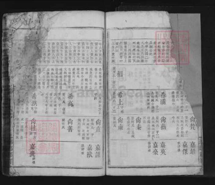 江西省九江市瑞昌市王氏族谱-王氏大成宗谱.pdf电子版预览图2