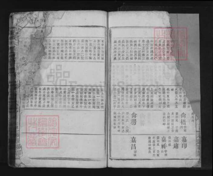 江西省九江市瑞昌市王氏族谱-王氏大成宗谱.pdf电子版预览图3