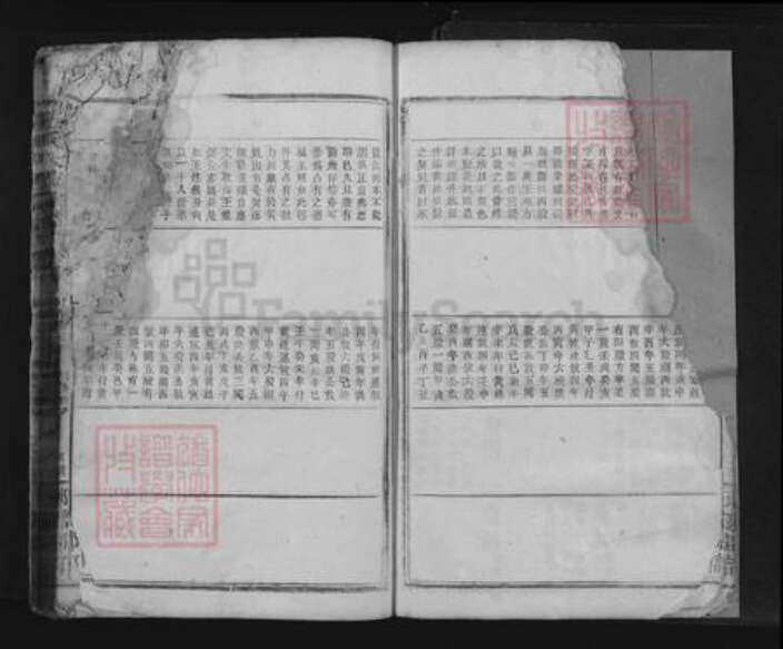 江西省九江市瑞昌市王氏族谱-王氏大成宗谱.pdf电子版预览图4