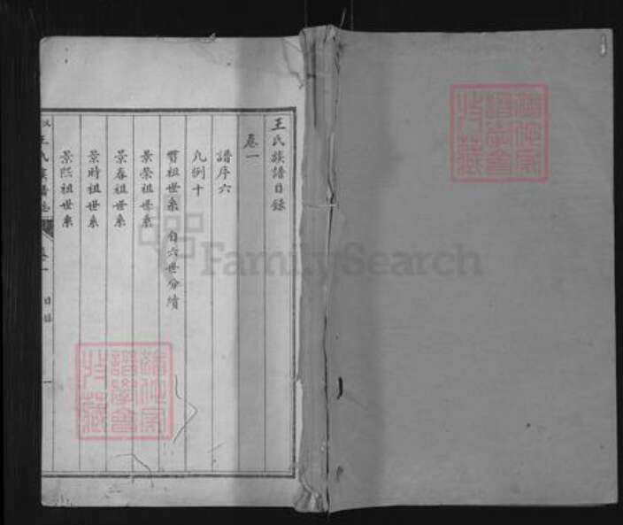 山东省济宁市汶上县次丘镇王氏族谱-汶邑王氏族谱志.pdf电子版缩略图