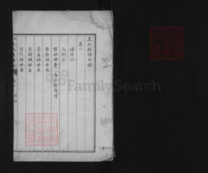 山东省济宁市汶上县次丘镇王氏族谱-汶邑王氏族谱志.pdf电子版预览图1