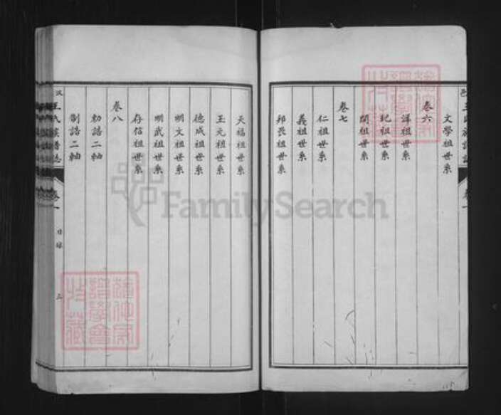 山东省济宁市汶上县次丘镇王氏族谱-汶邑王氏族谱志.pdf电子版预览图3