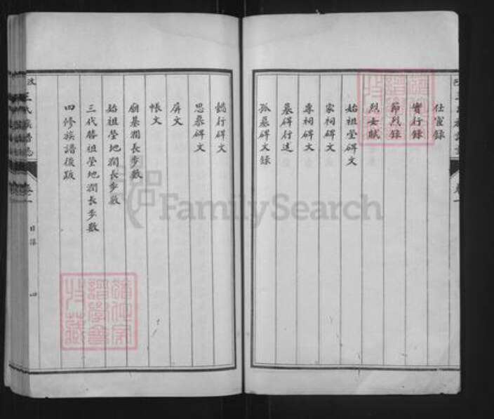 山东省济宁市汶上县次丘镇王氏族谱-汶邑王氏族谱志.pdf电子版预览图4