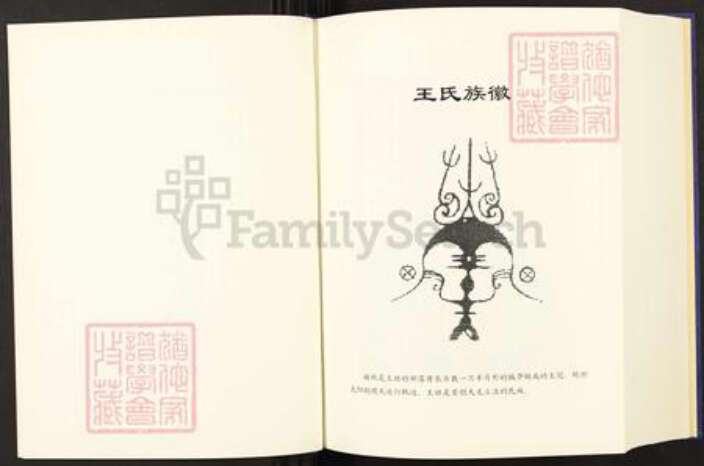 云南省曲靖市师宗县云南省曲靖市师宗县王氏三槐堂族谱-王启高族谱.pdf电子版预览图4