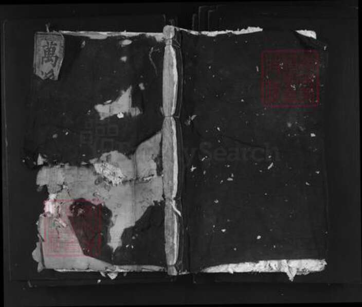 浙江省丽水市青田县仁庄镇王氏族谱-太原王氏宗谱.pdf电子版缩略图