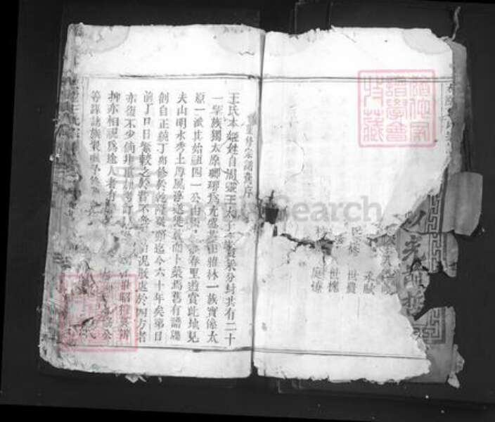 浙江省丽水市青田县仁庄镇王氏族谱-太原王氏宗谱.pdf电子版预览图3